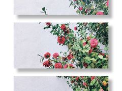 -费孝通江村纪念馆