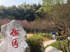 -重庆彩云湖湿地公园