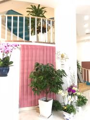 -新蝶变皮肤管理中心