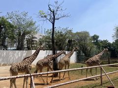 -昆明动物园