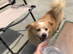 -Again Coffee Roaster(香蜜湖店)