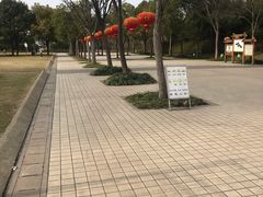 -新江湾城公园