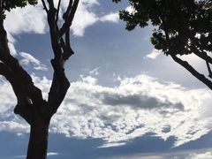 -麦哲伦丝绸度假村
