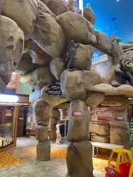 -卡通尼·Safari非洲探索乐园·生日会(金桥国际商业广场店)