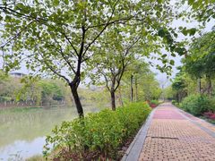 -怡海公园(桂城街道)