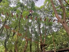 -WeLope紫金山探险公园