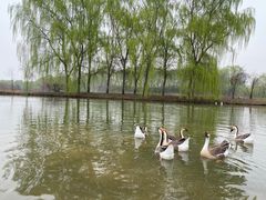 -西安浐灞国家湿地公园