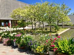 -南紀白浜 浜千鳥の湯 海舟