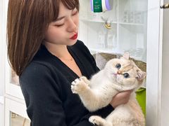 -青奢宠物·青奢猫舍