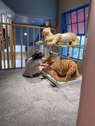 -奈尔宝家庭中心·亲子餐厅(华采天地店)