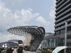 -星光大道