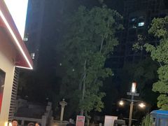 -唐力九头鸟烧烤·罗田吊锅(西云楼店)