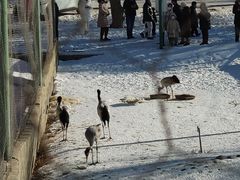 -新疆天山野生动物园