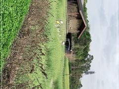 -黄龙溪欢乐田园