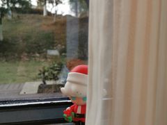 -洪湖悦兮半岛国际温泉度假村