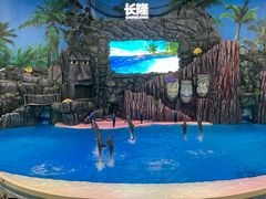 -珠海长隆海洋王国