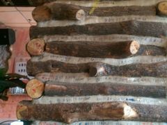 picture-Helens海伦司小酒馆(红旗南路店)