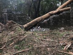 -九龙寨城公园