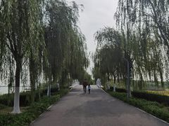 -天津东丽湖风景区