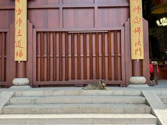 -灵岩山风景区