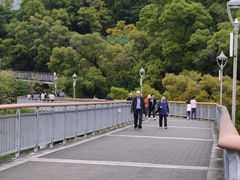 -金鸡山公园
