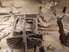 -洛阳周王城天子驾六博物馆