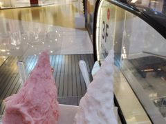 -野人先生Gelato(上海长宁龙之梦店)