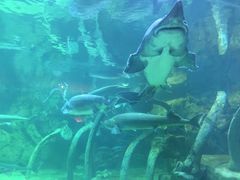 -华夏文旅海洋公园