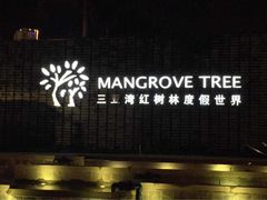 三亚湾红树林度假世界-三亚湾红树林度假世界(木棉酒店)