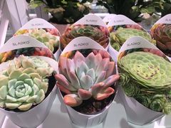 -KKV(深圳宏发大仟里店)