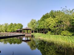 -同里国家湿地公园