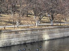 -元大都城垣遗址公园