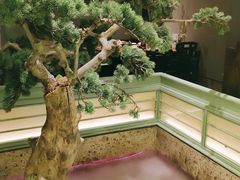 -绿茶餐厅(南昌王府井店)
