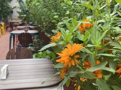 -BOCATA 西班牙餐厅(三里屯店)