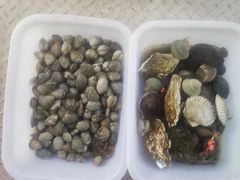 -海之味海鲜大咖·家常菜