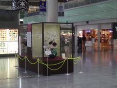 -中部国际机场