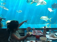 -瑞德姆美人鱼海底演艺主题餐厅(亚龙湾店)