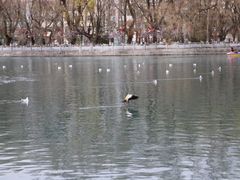-宗角禄康公园