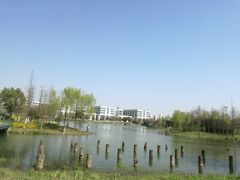 -尚贤河湿地