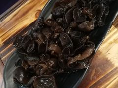 野生木耳-醉南山重庆老火锅(新百店)