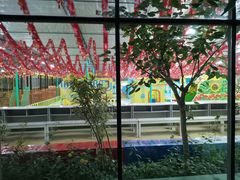 -南宫五洲植物乐园