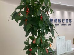 -北京楚诺医疗美容