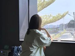 -来回·咖啡(钟村咖啡豆店)