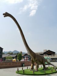 -恐龙探索乐园(磁器口店)