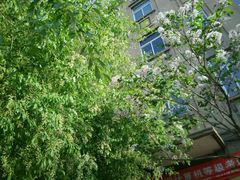 android_upload_pic-辽宁大学(崇山校区)