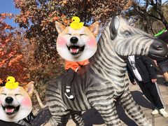 -石家庄市动物园