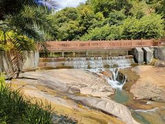 -广州白江湖森林公园