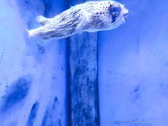 -多彩贵州城极地海洋世界