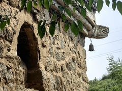 -白水寺森林公园