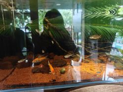 -青木造型HAIR·あおき髪を刈る潮人店